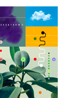 A Meta 11 de Aichi da Convenção sobre Diversidade Biológica (CDB): avanços e retrocessos em políticas públicas de proteção da natureza no Brasil, à luz da cobertura jornalística - Maria Elizabeth de Oliveira, Marta de Azevedo Irving, Marcelo Augusto Gurguel de Lima e Graciella Faico Ferreira A Meta 11 de Aichi da Convenção sobre Diversidade Biológica (CDB): avanços e retrocessos em políticas públicas de proteção da natureza no Brasil, à luz da cobertura jornalística - Maria Elizabeth de Oliveira, Marta de Azevedo Irving, Marcelo Augusto Gurguel de Lima e Graciella Faico Ferreira