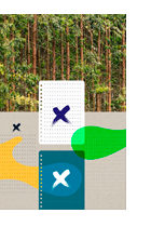 A formação do complexo florestal celulósico brasileiro - Silvia Lima de Aquino