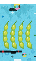 Análise da elasticidade de transmissão de preços externos no mercado doméstico da soja maranhense – Lindalva Silva Correia e Sergiany da Silva Lima