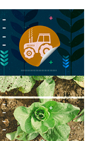 Extensão e políticas públicas de inclusão produtiva da agricultura familiar no Brasil: (des)conexões entre referenciais, ideias e práticas – Diego Neves de Sousa e Paulo André Nierderle Extensão e políticas públicas de inclusão produtiva da agricultura familiar no Brasil: (des)conexões entre referenciais, ideias e práticas – Diego Neves de Sousa e Paulo André Nierderlel