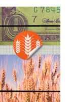 A influência dos fundos de investimentos na formação do preço do trigo na Bolsa de Cereais de Chicago – Argemiro Luís Brum, Daniel Knebel Baggio, Francisca Mendonça de Souza, Daniel Claudy da Silveira e Isoé Nicolas Schneider A influência dos fundos de investimentos na formação do preço do trigo na Bolsa de Cereais de Chicago – Argemiro Luís Brum, Daniel Knebel Baggio, Francisca Mendonça de Souza, Daniel Claudy da Silveira e Isoé Nicolas Schneider