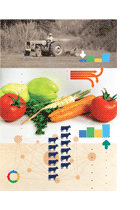 From Catching-Up To Knowledge Governance In The Brazilian Agribusiness – Ana Célia Castro From Catching-Up To Knowledge Governance In The Brazilian Agribusiness – Ana Célia Castro